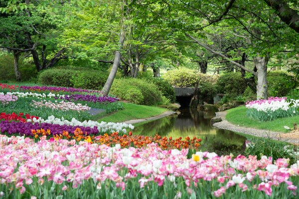 Květinový park s rozkvetlými záhony tulipánů u klidného potoka, obklopený stromy a zelení.